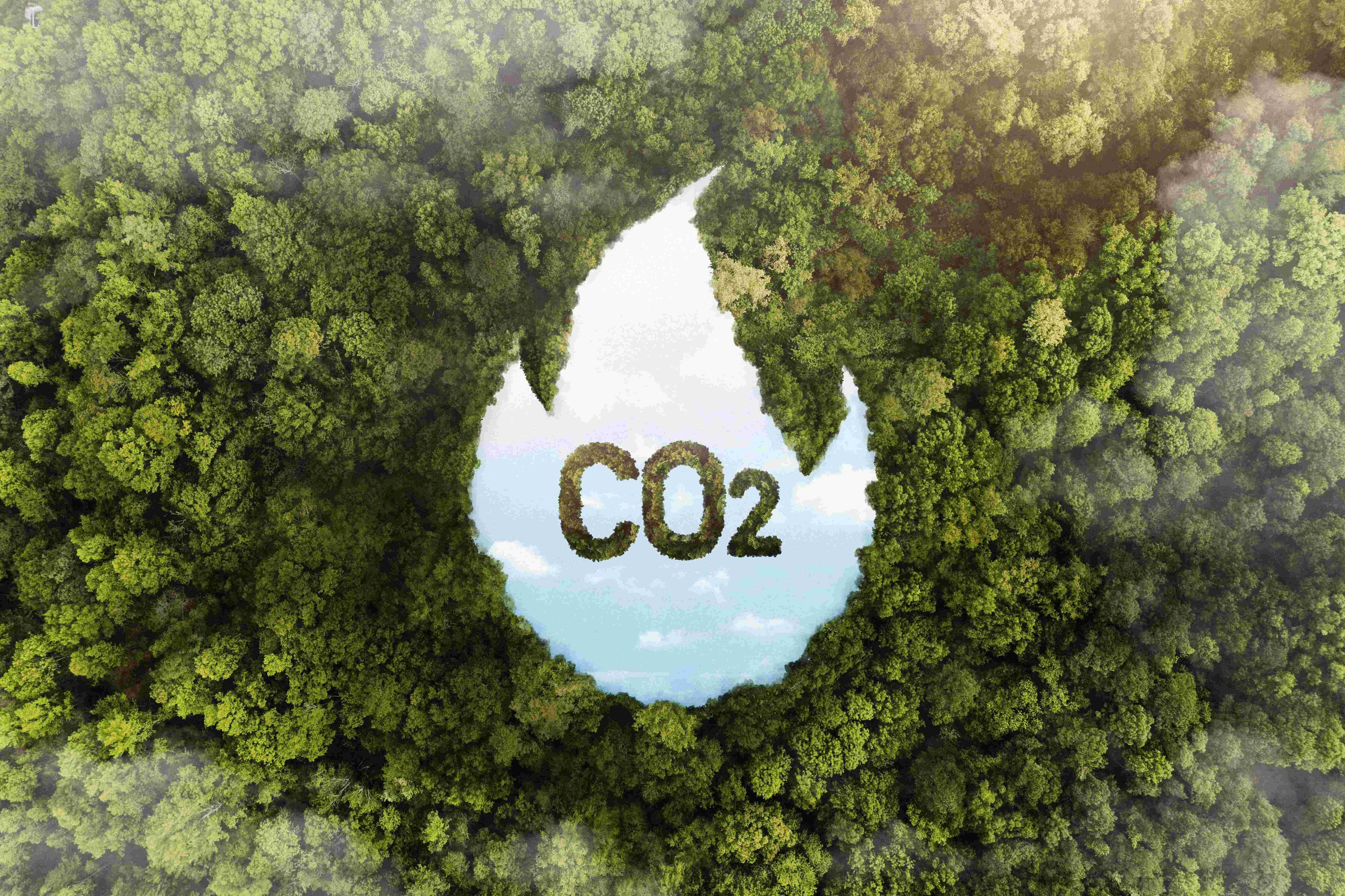 Low-Carbon Steam Systems